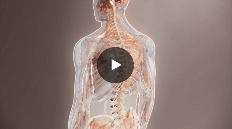 Understanding Spinal Muscular Atrophy